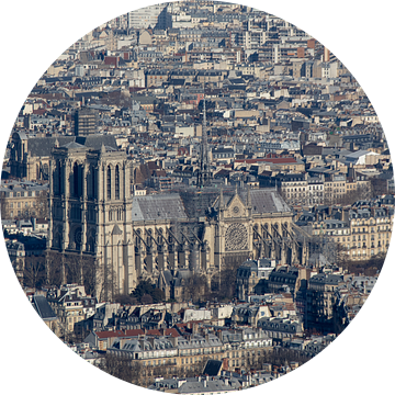 Notre-Dame kathedraal van Parijs van Michaelangelo Pix