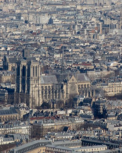 Notre-Dame kathedraal van Parijs van Michaelangelo Pix