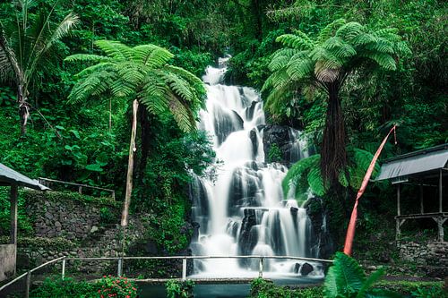 tropical waterfall on Bali
