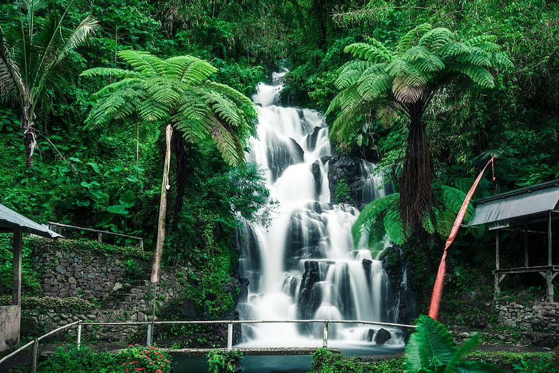 tropischer Wasserfall auf Bali von road to aloha