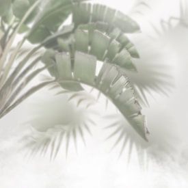 Tropisches Vergnügen im Nebel. Palme. Farn. Parrotidae. von Alie Ekkelenkamp