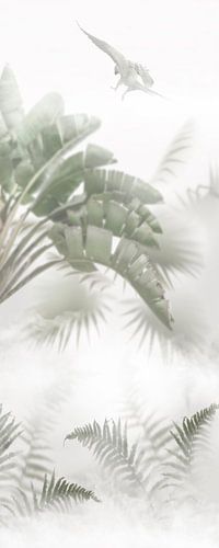 Tropical Delight in the Fog. Palm. Varen. Papegaaiachtigen.