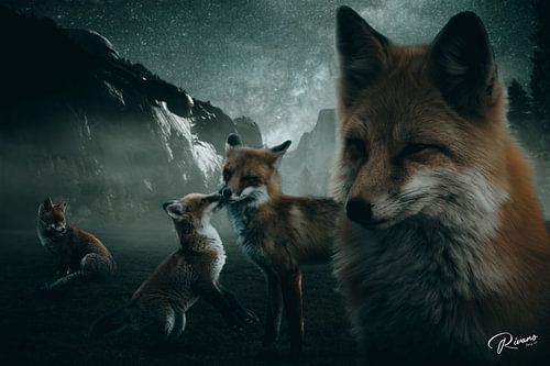Fuchs-Portrait, Tierkunst, schöne Fuchs-Wandkunst,