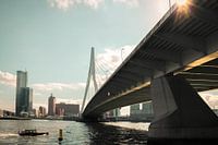 Machtig mooi Rotterdam