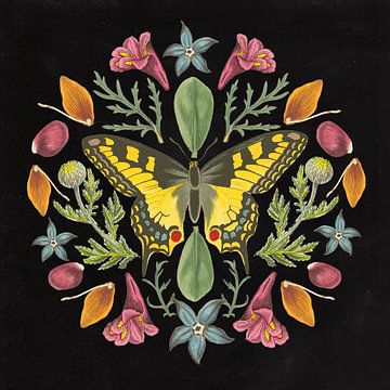 Schmetterling Mandala III Schwarz, Wild Apple Portfolio von Wild Apple