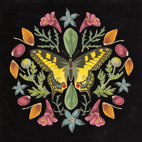 Vlinder mandala iii zwart, Wild Apple Portfolio van Wild Apple