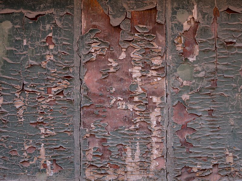 Tijdelijkheid van Alexander Dorn