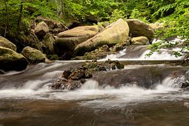 Ilse cases LZBL by Tim Lee Williams