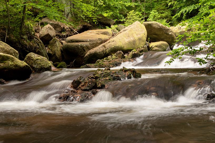 Ilsefälle LZBL von Tim Lee Williams