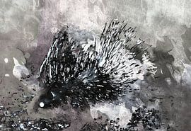 A Porcupine Emerges by Dorothy Berry-Lound