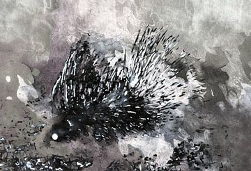 A Porcupine Emerges