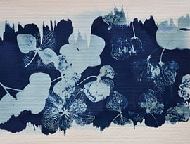 Hortensia sur Lia Nauta