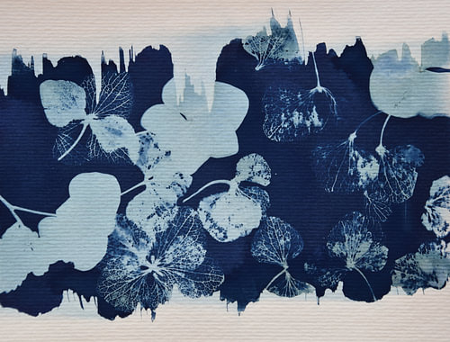 Hortensia