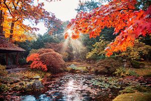 Herbsthintergrundpanorama im japanischen Park von Ariadna de Raadt-Goldberg