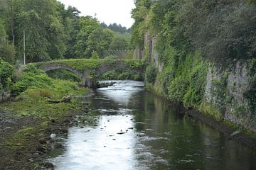 Northern-Irish landscaping by Simone van der Heide