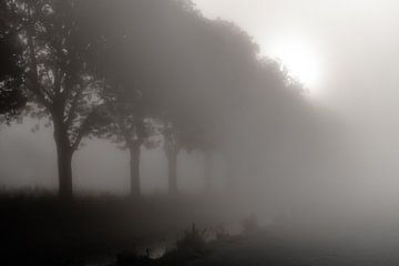 Nebliger Morgen in Friesland von Bram Martens