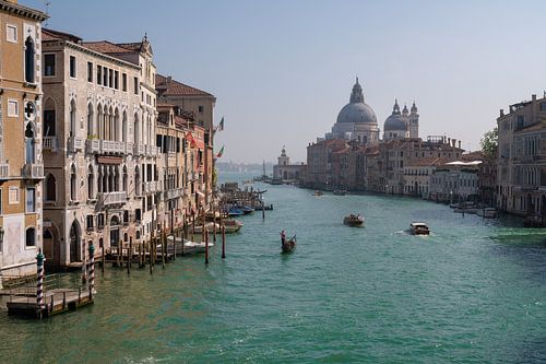 Ponte dell'Accademia in Venice
