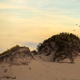 Dunes and Birds von Arthur de Rijke