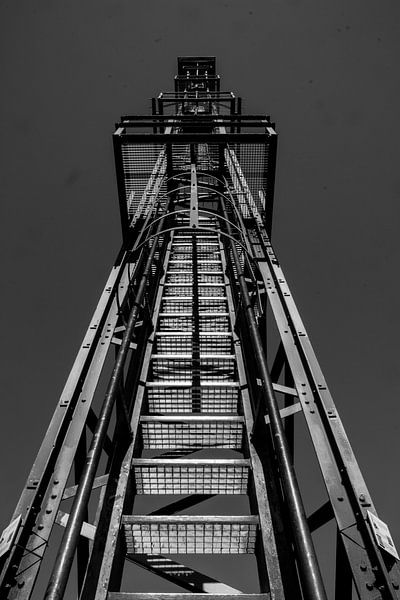 Feuerturm Rozendaal Field (schwarz-weiß) von Suzanne Schoepe