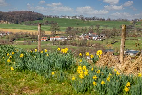 Lente in Zuid-Limburg