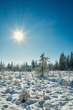 Winter magic by Basti´s Pix und Raus