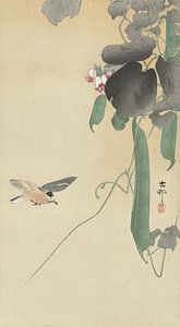 Oiseau à l'usine de haricots en fleur de Ohara Koson