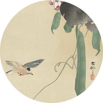 Vogel bij bloeiende bonenplant van Ohara Koson