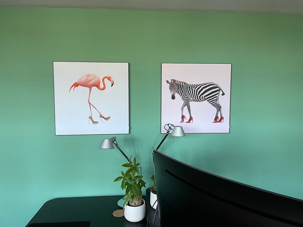 Flamant rose par Jonas Loose