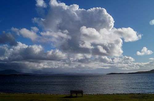 Bench with a View