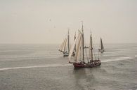 Oude schepen op de Waddenzee van Margreet Frowijn thumbnail