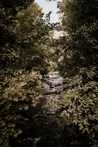 Fluss zwischen Bäumen in bulgarischer Berglandschaft von Christa Stories