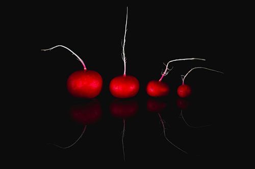 Red radishes by Corrine Ponsen