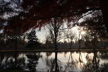 Herfst reflectie in het water van Lies Woudstra