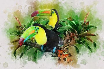 Toucan sur Bert Quaedvlieg