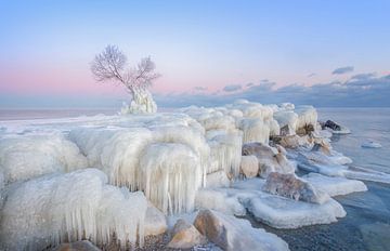 Ice Wonderland, Larry Deng