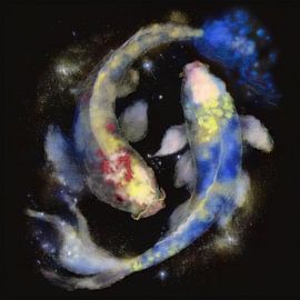 Koi fish yin and yang by Liese Sijbom
