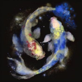 Koi vissen yin en yang