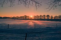 The warm and restful sun