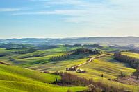 Landschaft in den Crete Senesi, Toskana