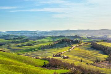 Landschap in de Crete Senesi, Toscane van Stefano Orazzini