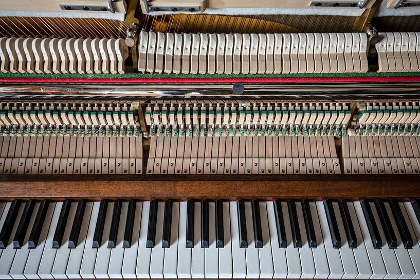 interior of a piano by Eric van Nieuwland
