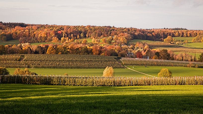 Autumn in the Wolfhaag / Raren by Rob Boon