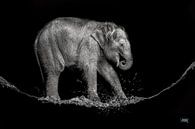 Wasserelefant von Jiske Wijmans @Artistieke Fotografie Miniaturansicht