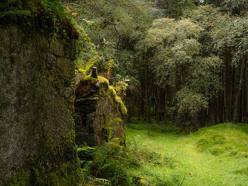 Ruïnes bij Rowchoish Bothy