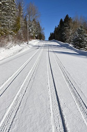 De weg langs het meer in de winter