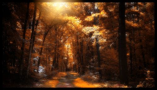 Toegang tot het sprookjesbos