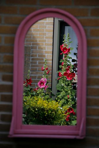 flowers in the mirror