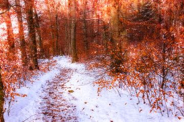 Chemin à travers la forêt d'hiver sur Nicc Koch