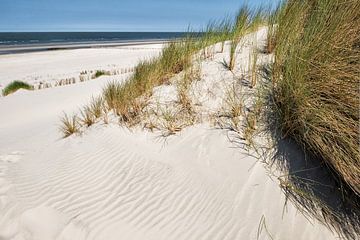 Entdecken Sie die Schönheit von Ameland: Dünen und Meer in Bildern von Wendy Bos