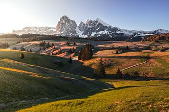 Alpe di Siusi